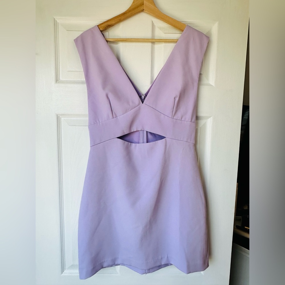 NWT Lilac Cutout Mini Dress w Zipper